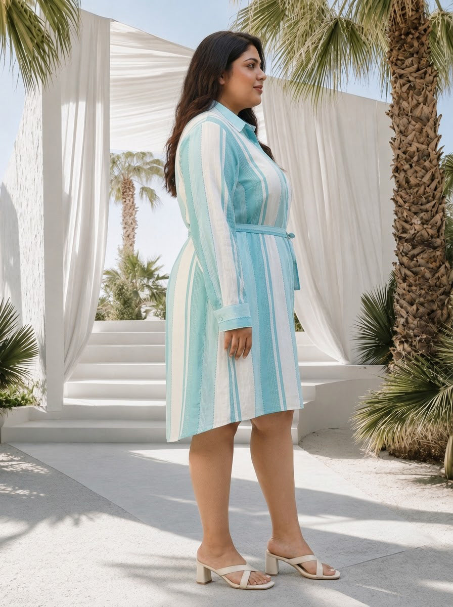 Plus Size Blue Stripe Cotton Dress